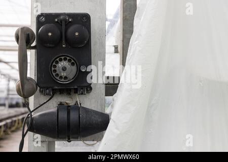 Vecchio telefono nero in greenhosue nel comune di Groessen Duiven Gelderland provincia nei Paesi Bassi Foto Stock