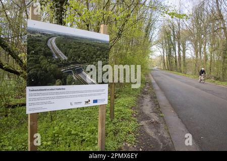 Halle, Belgio. 15th Apr, 2023. L'immagine mostra gli Hallerbos di Halle, rinomati per le sue bluebells, sabato 15 aprile 2023. FOTO DI BELGA NICOLAS MAETERLINCK Credit: Belga News Agency/Alamy Live News Foto Stock