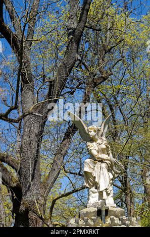 Figura di angelo bianco di pietra di fronte agli alberi in un parco Foto Stock