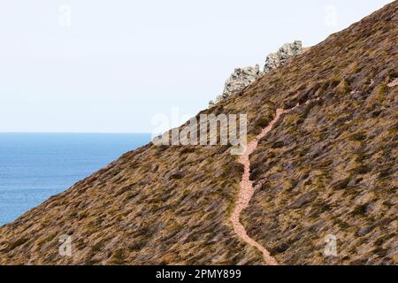 La miniera rimane a Wheal Coates, St. Agnes, costa settentrionale della Cornovaglia, Regno Unito Foto Stock