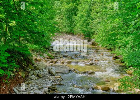 Il torrente Starzlach, affluente di sinistra del rivulet Breitach, qui vicino Oberstdorf, nella regione di Allgaeu, Baviera, Germania, Europa. Foto Stock