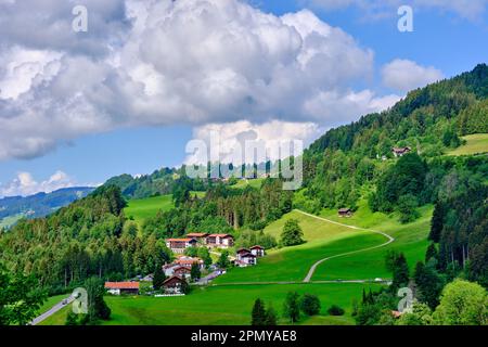 Paesaggio ad Allgaeu alla periferia della strada B 308 appartenente alla strada alpina tedesca nei pressi di Oberstaufen, Baviera, Germania, Europa. Foto Stock