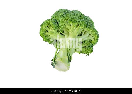 Testa di broccoli isolata su bianco. Brassica oleracea var. verdure italica. Cavolo calabrese Foto Stock