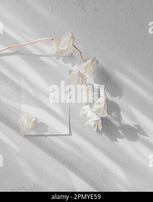Carta bianca come mockup per il biglietto di auguri o invito con ramo di orchidea secco Foto Stock