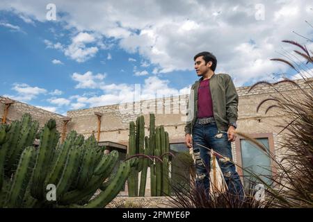 Un uomo che visita la vecchia scuola di modello rustico con cactus in Mineral de Pozos Guanajuato Messico Foto Stock