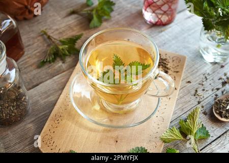 Una tazza di tè di ortica su un tavolo di legno con pianta Urtica dioica fresca Foto Stock