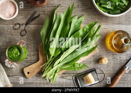 Foglie fresche di aglio selvatico su un tavolo in primavera, con ingredienti per preparare pesto fatto in casa Foto Stock