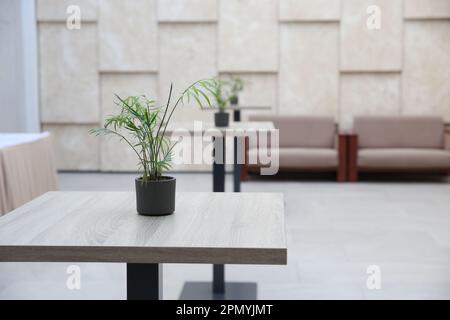 Vuoto moderno hotel salotto di benvenuto con alti tavoli, divani e piante interne. In colori beige. Foto Stock