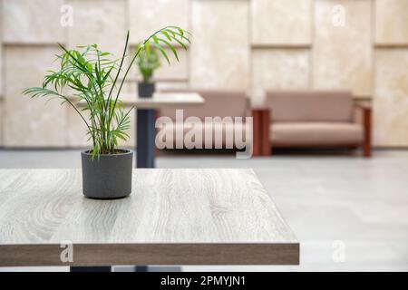 Vuoto moderno hotel salotto di benvenuto con alti tavoli, divani e piante interne. In colori beige. Foto Stock
