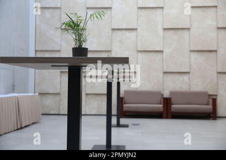 Vuoto moderno hotel salotto di benvenuto con alti tavoli, divani e piante interne. In colori beige. Foto Stock