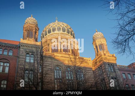 Nuova Sinagoga - Berlino, Germania Foto Stock