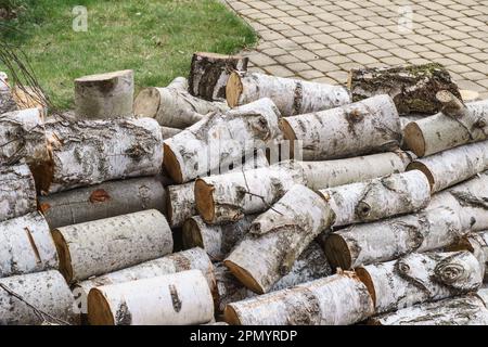 legno tagliato immagazzinato da una casa suburbana Foto Stock