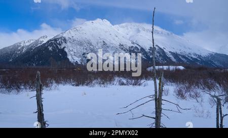 Nuvole e neve sulla cima della montagna, alberi pietrificati in primo piano. Foto Stock