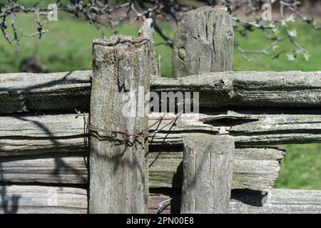 particolare di una vecchia recinzione in legno a binario spaccato in primavera Foto Stock