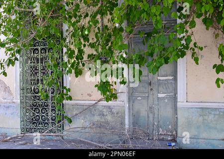 Una porta e una finestra in un vecchio edificio sulla strada a Merida, Yucatan, Messico. Foto Stock