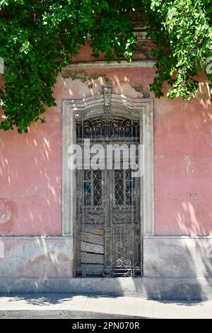 Una porta di legno con un cancello in ferro battuto in un vecchio edificio rosa con rami di albero che gettano ombre su di esso, in una strada a Merida, Yucatan, Messico. Foto Stock