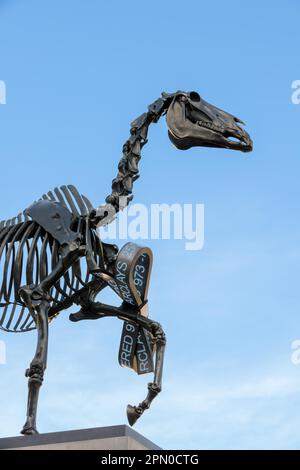 Statua di Hans Haacke a Trafalgar Square Foto Stock
