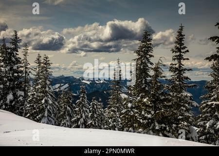 WA23349-00...WASHINGTON - Vista delle colline coperte di neve da High Hut nei sentieri del Monte Tahoma vicino al Monte Rainier. Foto Stock