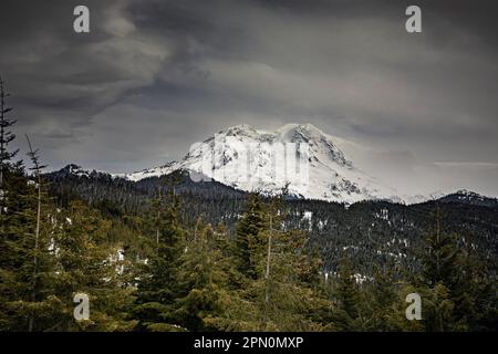 WA23353-00...WASHINGTON - Monte Rainier visto dal punto di vista di montagna nell'unità settentrionale dei sentieri di Monte Tahoma. Foto Stock