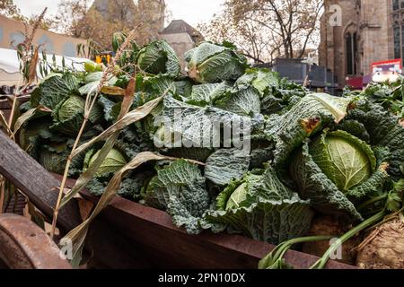 Immagine di un mucchio di Cabbages savoy in vendita in un mercato di Dortmund, Germania. Il cavolo di Savoia è una varietà della specie vegetale Brassica oleracea. Savo Foto Stock