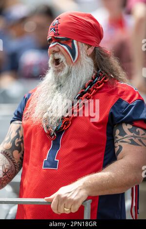 Un fan di Houston Roughnecks fa il tifo per la sua squadra contro i Vegas Vipers, sabato 15 aprile 2023, a Houston, Texas. Houston ha sconfitto Vegas 28-21. (Ki Foto Stock