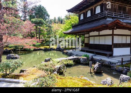 Kyoto Giappone 2023 aprile, Ginkakuji Silver Pavilion tempio e giardini, famoso per le sue onde di sabbia ginthadan e la rappresentazione del Monte Fuji, Giappone, Asia Foto Stock