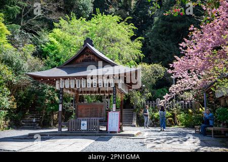 Kyoto Giappone 2023 aprile, Santuario di Otoyo Jinja che ha statue di topi che custodiscono il santuario reputato ospitare il Dio del matchmaking, Kyoto, Giappone Foto Stock