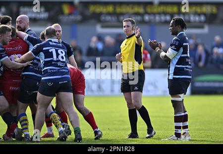 Bedford, Regno Unito. 15th Apr, 2023. Campionato di rugby RFU. Bedford Blues V Jersey Reds. Campo da rugby Bedford Blues. Bedford. DaN Jones (Referee) durante la partita di rugby del campionato RFU Bedford Blues V Jersey Reds. Credit: Sport in Pictures/Alamy Live News Foto Stock