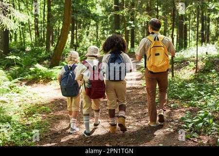 Vista posteriore a diversi gruppi di scout trekking nella foresta con leader adulto illuminato dalla luce del sole Foto Stock