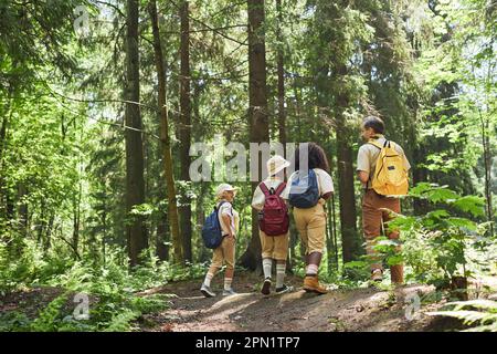 Ampio angolo di vista posteriore a diversi gruppi di scout trekking nella foresta con leader adulto, copia spazio Foto Stock