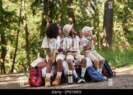 Diversi gruppi di scout che si godono pausa pranzo nella foresta durante il viaggio a piedi Foto Stock