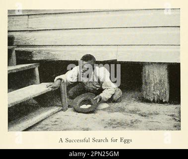 A Successful Search for Eggs Way Down on the Suwanee River from the book ' Highways and byways of the South ' by Clifton Johnson, 1865-1940 anno di pubblicazione 1904 [The Suwannee River (anche ortografato Suwanee River) È un fiume che attraversa la Georgia del sud verso sud fino alla Florida nel sud degli Stati Uniti. È un fiume selvaggio blackwater, lungo circa 246 miglia (396 km)] Editore New York, la società Macmillan; Londra, Macmillan e co., limitato Foto Stock