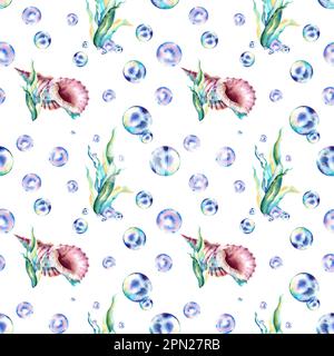 Un modello di alghe, conchiglie e bolle. Illustrazione acquerello. Collage. Abitanti del mare Foto Stock