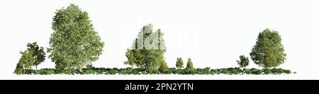 paesaggi forestali, bella natura con alberi verdi e arbusti, isolato su sfondo bianco Foto Stock