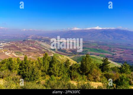 Vista del paesaggio dell'alta Galilea, con il confine con il Libano, la Valle di Hula (alta valle del fiume Giordano) e il Monte Hermon sullo sfondo, Israele settentrionale Foto Stock