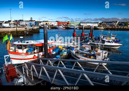 Porto e barche da pesca di Finistere City Guilvinec sulla costa atlantica in Bretagna, Francia Foto Stock