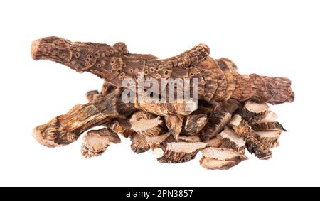 Radice di Calamus isolata su sfondo bianco. Bandiera dolce, zoppa o radice di muskrat, vasambu. Radice secca di Acorus calamus Foto Stock