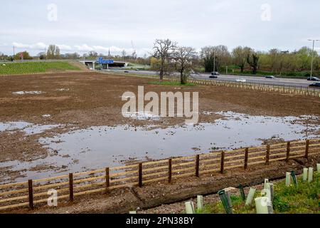 Slough, Berkshire, Regno Unito. 16th aprile 2023. I campi utilizzati in precedenza per i cavalli al pascolo che sono stati oggetto di un ordine di acquisto obbligatorio per il M4 Smart Motorway upgrade, sono ora lasciati acqua loggato dopo che il complesso di costruzione è stato sciolto. Credito: Maureen McLean/Alamy Foto Stock