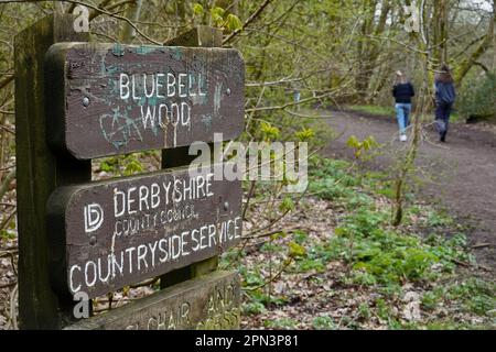 Cartello all'ingresso di Bluebell Wood sul Sett Valley Trail vicino a Hayfield, Derbyshire Foto Stock