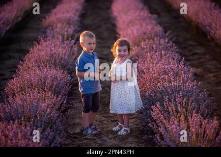 Carino, bel ritratto di bambino coppia e ragazza su sfondo di campo di lavanda viola. Caucasica fratello sorella divertirsi al tramonto. Eccitato piccolo Foto Stock