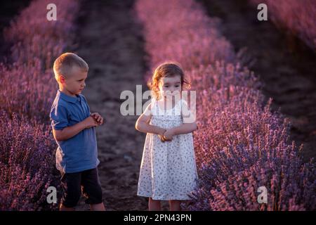 Carino, bel ritratto di bambino coppia e ragazza su sfondo di campo di lavanda viola. Caucasica fratello sorella divertirsi al tramonto. Eccitato piccolo Foto Stock