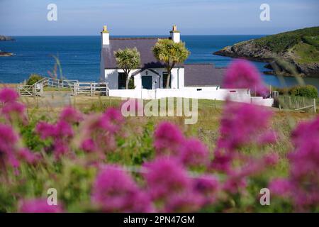 Tywyn Cottage, Cemaes Bay, Anglesey, Galles del Nord, Regno Unito, Foto Stock