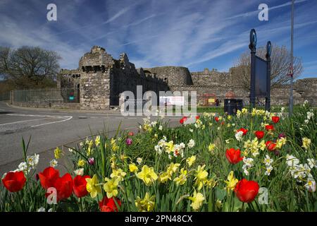 Castello di Beumaris, Anglesey, Galles del Nord, Regno Unito. Foto Stock