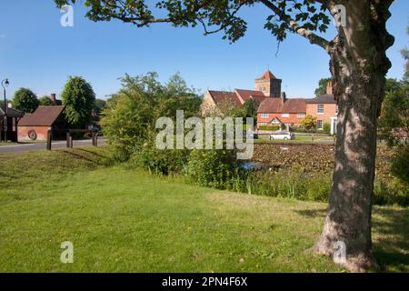 Chiddingfold e St Mary's Church, Surrey, Inghilterra Foto Stock