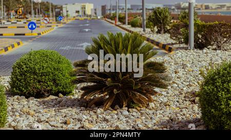 Natura dell'isola mariana Foto Stock