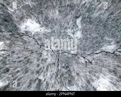 Vista dall'alto con un drone di una foresta invernale innevata. Foto Stock