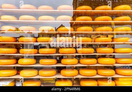 Formaggi impilati in vetrina del negozio di formaggi Henri Willig Kaas, Markt, Delft, South Holland Province, Regno dei Paesi Bassi Foto Stock