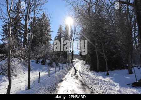 Gioie invernali in montagna, Baviera. Foto Stock