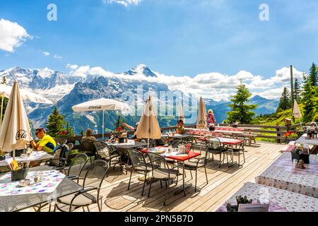 Ristorante di montagna a Bussalp con vista panoramica sulla cima prima, Grindelwald. Nella regione dello Jungfrau, nelle Alpi dell'Oberland Bernese, in Svizzera Foto Stock