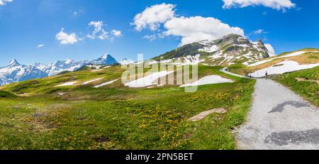 Sentiero escursionistico nei pressi di Bachalpsee sopra Grindelwald-First con vista sulle montagne, tra cui l'Eiger, la regione dello Jungfrau, le Alpi dell'Oberland Bernese, la Svizzera Foto Stock